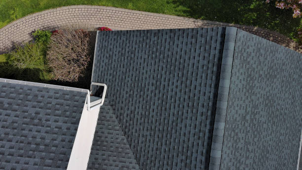 Best Roof Coating and Sealing  in Wisr, NE