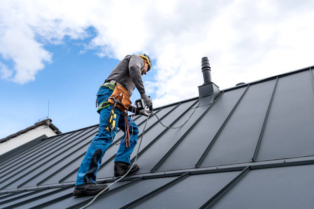 Fast & Reliable Emergency Roof Repairs in Wisner, NE