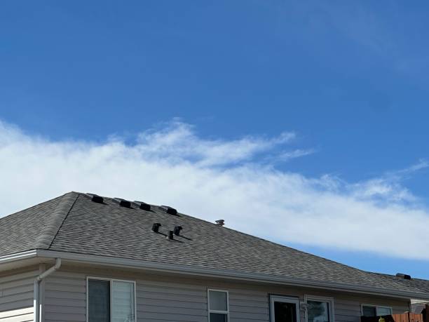 Best Roof Leak Repair  in Wisr, NE